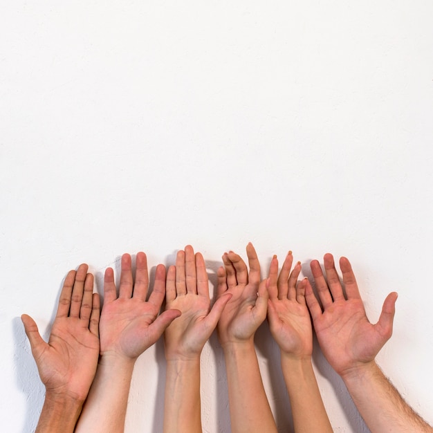 Diversas personas mostrando su palma contra una superficie lisa y blanca.