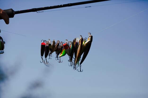 Diverso cebo que cuelga en línea de pesca