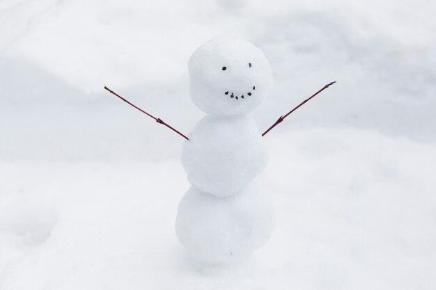 Divertido muñeco de nieve en el banco de nieve