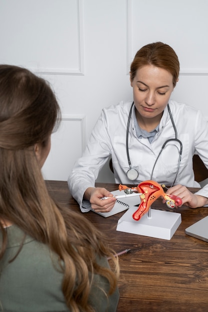 Doctor explicando el modelo anatómico al paciente en ángulo alto