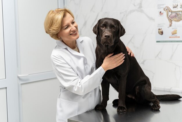 Doctor y perro sonrientes de tiro medio