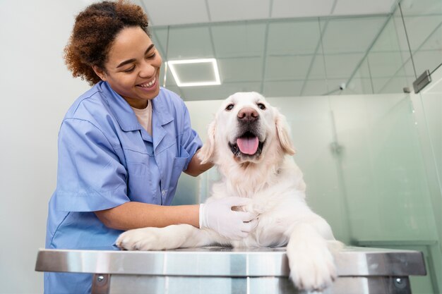 Doctor sonriente de tiro medio revisando perro