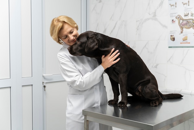 Doctor de tiro medio acariciando a un perro