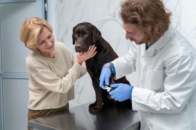 Foto gratuita doctor de tiro medio revisando perro lindo