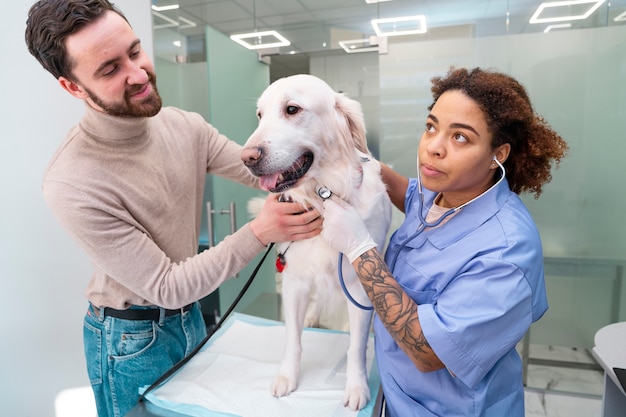 Doctor de tiro medio revisando perro sonriente