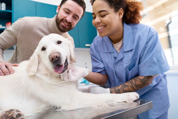 Foto gratuita doctor de tiro medio revisando perro sonriente