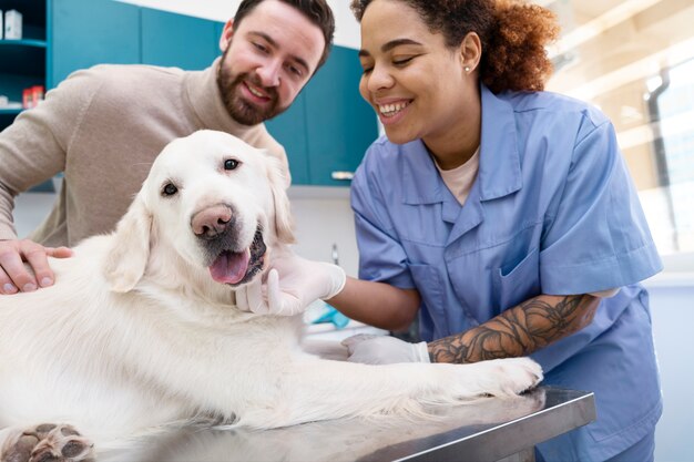 Doctor de tiro medio revisando perro sonriente