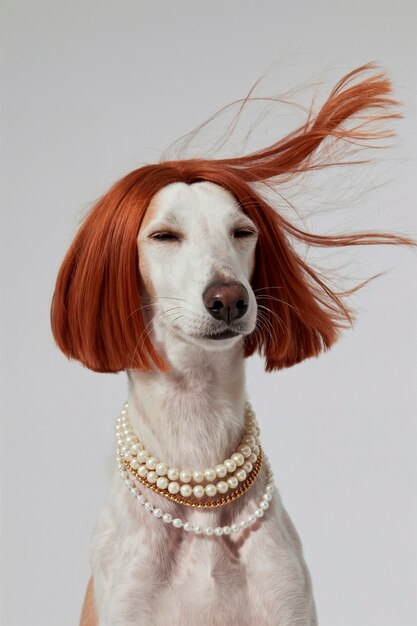 Dog with red wig and pearl necklace