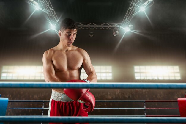 Dos boxeadores están luchando en el ring de boxeo profesional