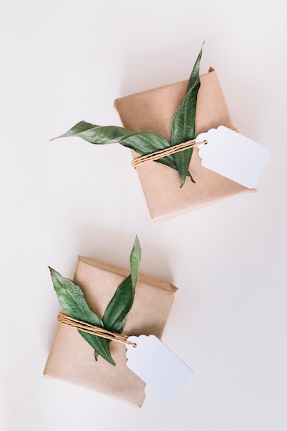 Dos cajas de regalo envueltas de color marrón con etiqueta en blanco y hojas verdes sobre fondo blanco