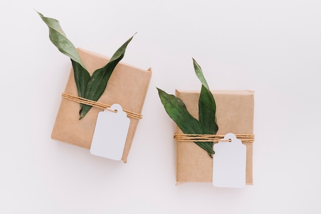 Dos cajas de regalo envueltas marrón atadas con etiqueta y hojas sobre fondo blanco