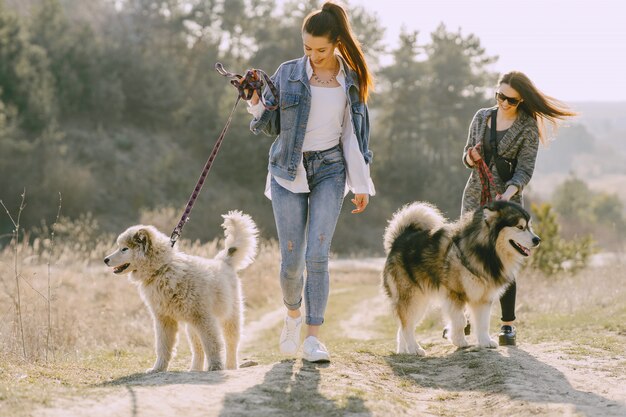 Dos chicas con estilo en un campo soleado con perros