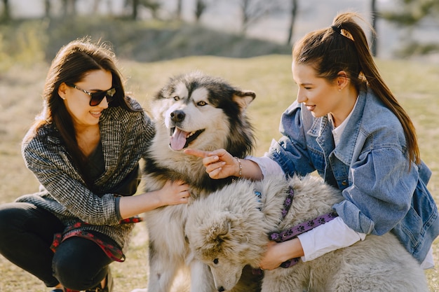 Foto gratuita dos chicas con estilo en un campo soleado con perros