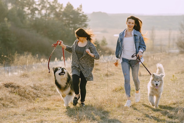 Dos chicas con estilo en un campo soleado con perros