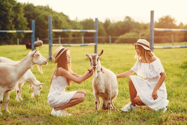 Dos chicas lindas en un campo con cabras