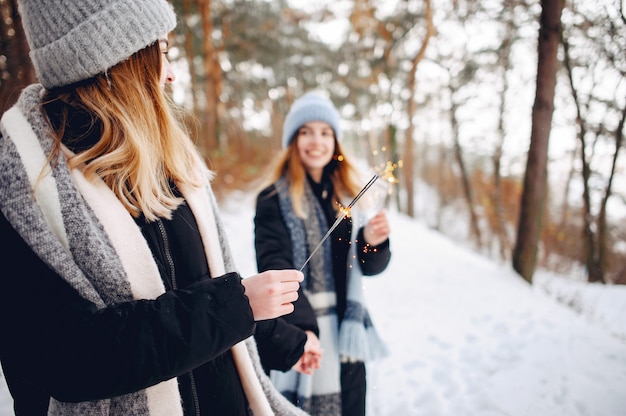 Dos chicas lindas en un parque de invierno