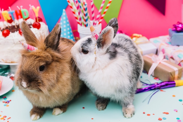 Foto gratuita dos conejos sentados frente a la decoración de cumpleaños.