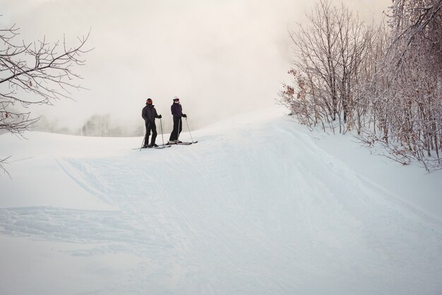 Dos esquiadores esquiando en los Alpes nevados