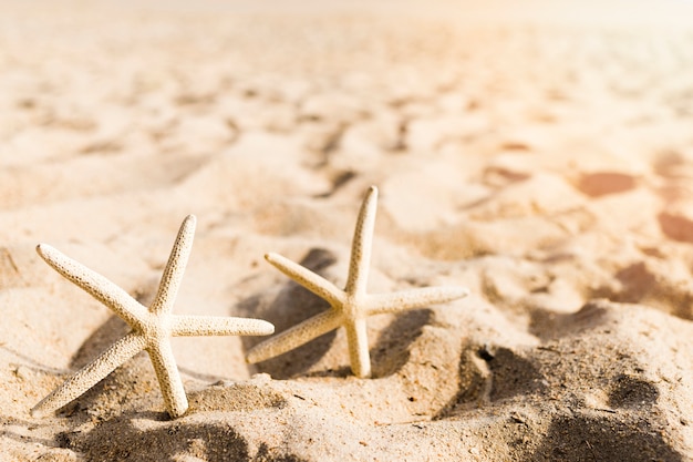 Dos formas de estrellas en la playa de arena