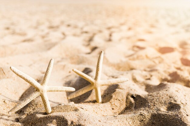 Dos formas de estrellas en la playa de arena