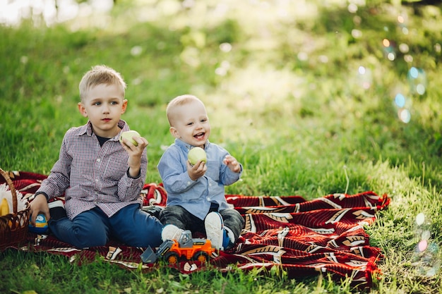 Dos hermanitos con jeans y camisas a cuadros sentados y comiendo manzanas en el parque Niños vestidos entre hierba verde felices sonriendo y mirando hacia otro lado Concepto de niños