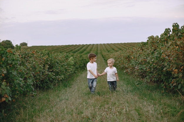 Dos hermanos jugando en un campo de verano