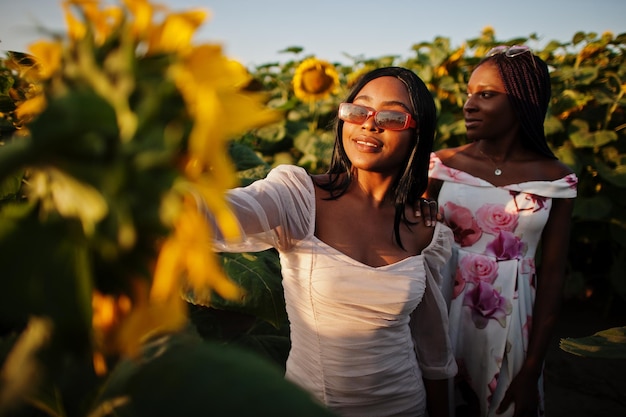 Dos hermosas jóvenes amigas negras usan pose de vestido de verano en un campo de girasoles