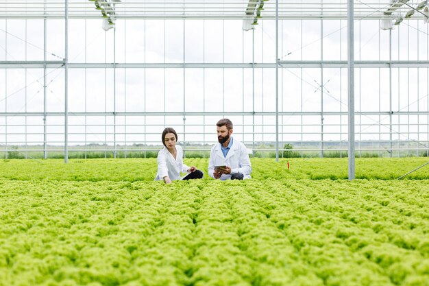 Dos investigaciones hombre y mujer examinan la vegetación con una tableta en un invernadero blanco