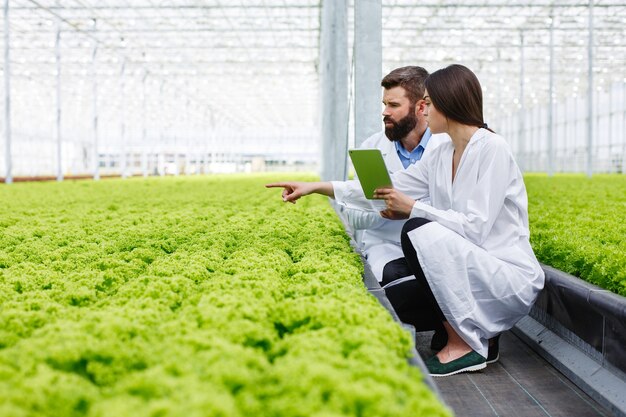 Dos investigaciones hombre y mujer examinan la vegetación con una tableta en un invernadero blanco