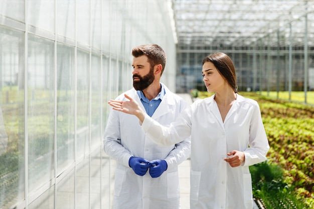 Dos investigadores en batas de laboratorio caminan alrededor del invernadero