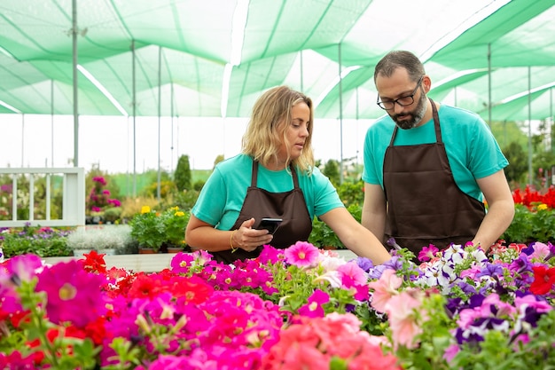 Foto gratuita dos jardineros serios que eligen petunias para la foto.