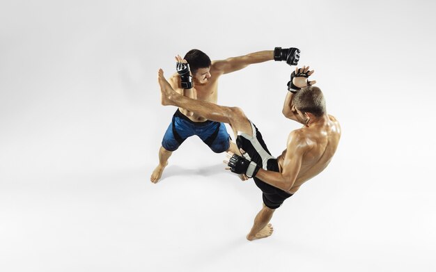 Dos luchadores de MMA profesionales de boxeo aislado en blanco studio.