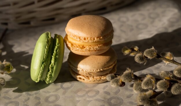 Dos macarons cremosos de color beige y verde sobre un suelo blanco y gris plano cerca de algunas plantas de primavera