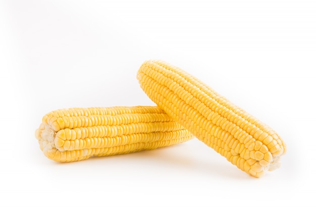 Dos mazorcas de maíz en fondo blanco