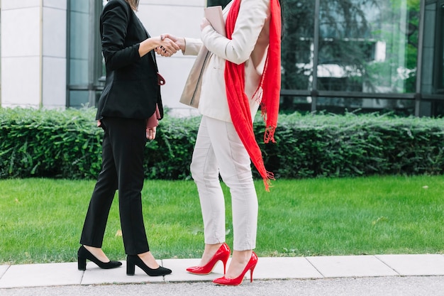 Dos, mujer de negocios, llevando, tacones altos, sacudarir las manos