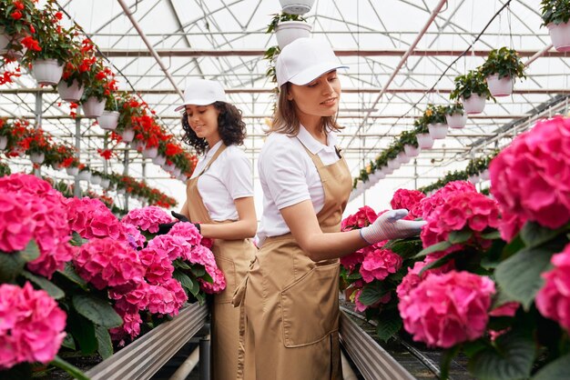 Dos mujeres bonitas que trabajan en un gran invernadero moderno