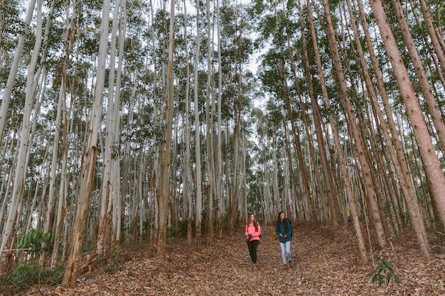 Foto gratuita dos mujeres caminando en el bosque