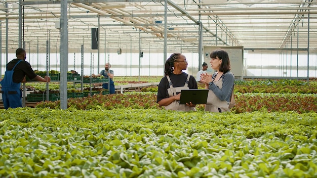 Foto gratuita dos mujeres diversas que usan una computadora portátil con software de gestión agrícola para planificar la cosecha y la entrega de lechuga orgánica. trabajadores agrícolas en invernadero con computadora portátil revisando pedidos en línea.