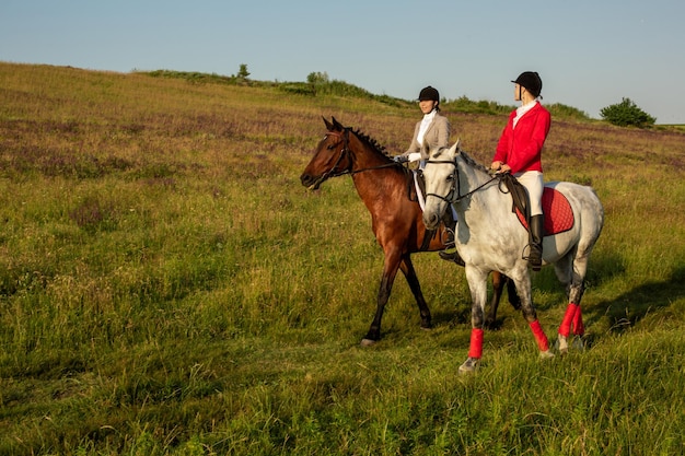 Foto gratuita dos mujeres jóvenes montando a caballo en el parque. paseo a caballo en verano. fotografía al aire libre en ambiente de estilo de vida