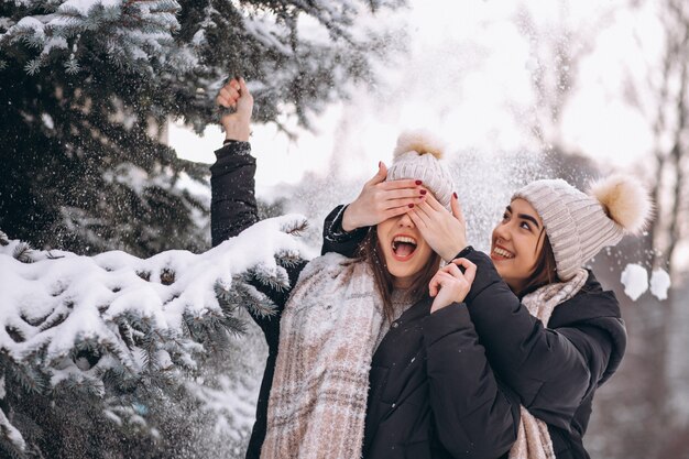 Dos niñas gemelas juntas en el parque de invierno