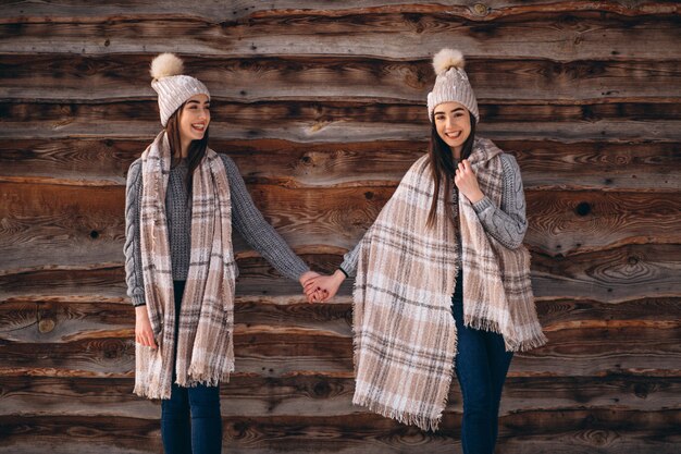 Dos niñas gemelas juntas en el parque de invierno