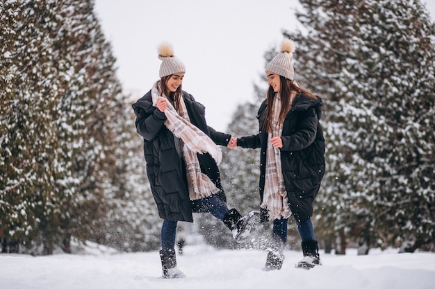 Dos niñas gemelas juntas en el parque de invierno