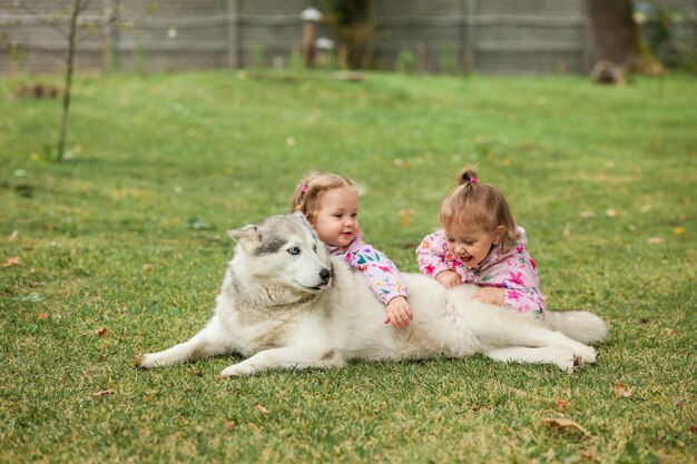 Las dos niñas jugando con perro contra la hierba verde