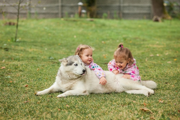 Las dos niñas jugando con perro contra la hierba verde