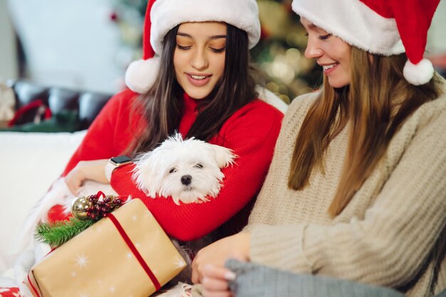 Dos niñas con un perro pequeño están sentadas en el sofá en la víspera de Año Nuevo. Amigos juntos.