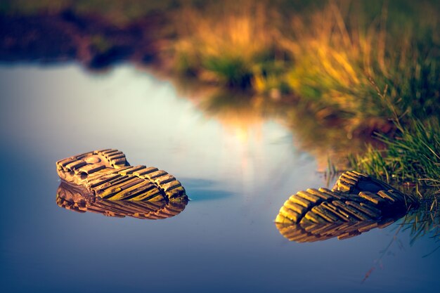 Dos pares de zapatos en cuerpo de agua