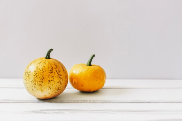 Dos pequeñas calabazas en blanco