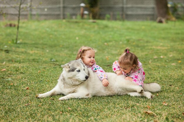 Los dos pequeños girsl bebé jugando con perro contra la hierba verde en el parque