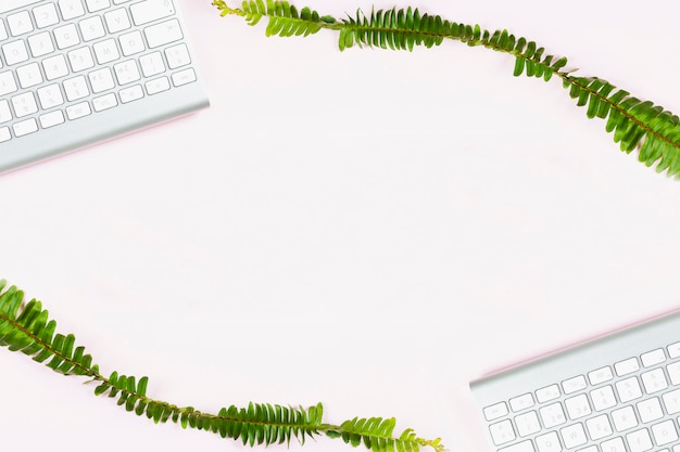 Dos ramas de planta con teclados blancos sobre fondo blanco