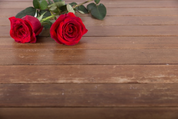 Foto gratuita dos rosas rojas en una mesa